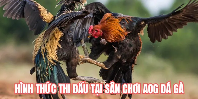 Hình thức thi đấu tại sân chơi AOG